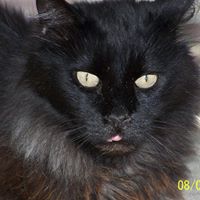 Sammy Davidson Photo 4