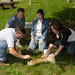 Paul Whitener Photo 13