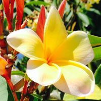 Cindy Durbin Photo 12