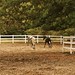 Crystal Briggs Photo 26