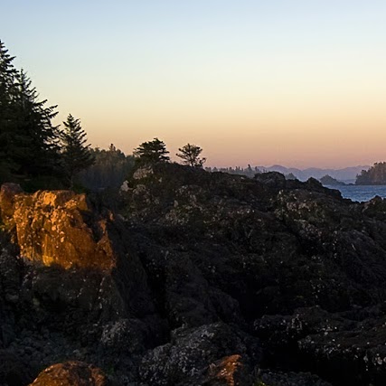 Tracey Harper Photo 11