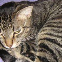 Charlie Trout Photo 12