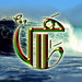 Mohammad Tahir Photo 16