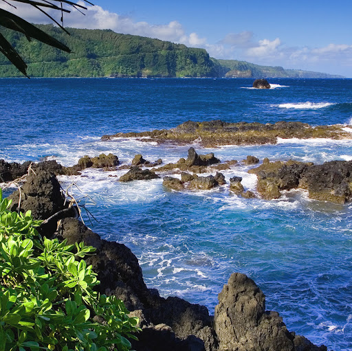 Janice Sharpe Photo 11