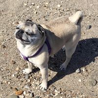 Rebecca Lang Photo 23