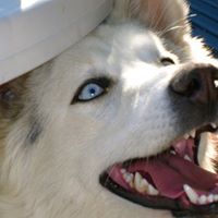 Gerrie Adams Photo 11