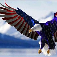 Ricky Gilbreath Photo 4