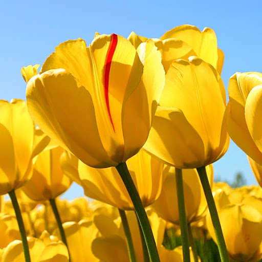 Michele Richardson Photo 32