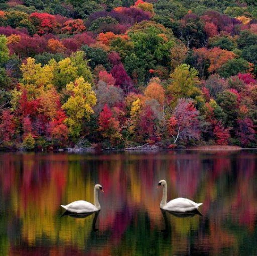 Nancy Roberts Photo 48