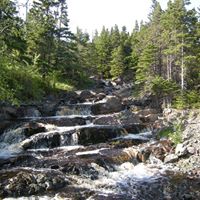 Shelley Atkinson Photo 15