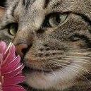 Laura Gilmore Photo 34