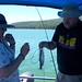 Debbie Trout Photo 38