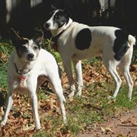 Jennifer Finch Photo 42