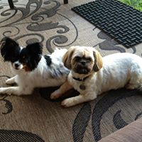 Terrie Henderson Photo 21