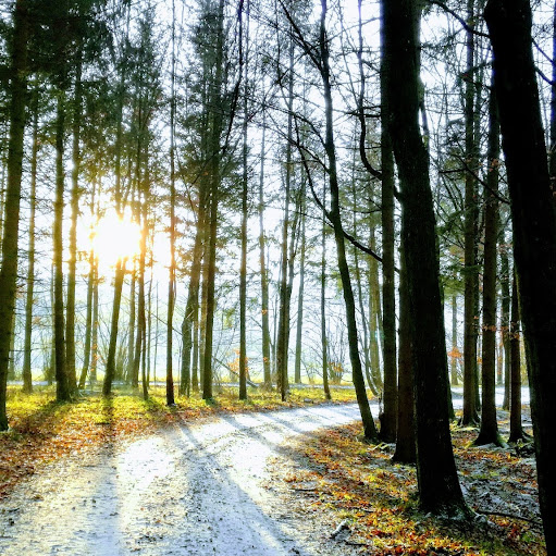 Alexandra Lang Photo 29