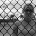 Christine Cummings Photo 15