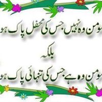 Muhammad Shakeel Photo 28