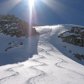 Malcolm Morrison Photo 11