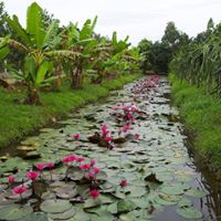 Danh Nguyen Photo 42