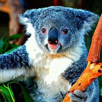 Carol Lucas Photo 17