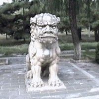 George Levine Photo 20