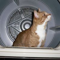 Martha Moody Photo 18