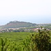 Alfonso Torres Photo 13