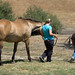 Robin Wyatt Photo 8