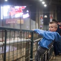 Stephen Strout Photo 9