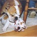 Rodney Floyd Photo 7