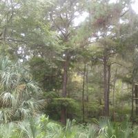 Melissa Merritt Photo 20