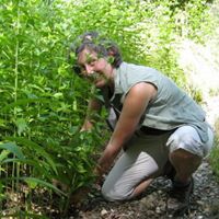 Jane Schaffer Photo 11