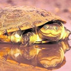 Theresa Stahl Photo 8