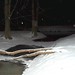 Elaine Munn Photo 11