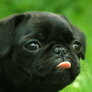 Barbara Cartwright Photo 15