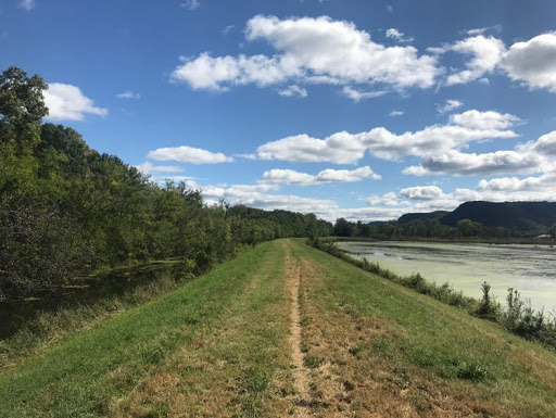 Shawn Swanson Photo 18