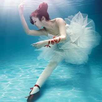 Herbert Anderson Photo 14