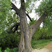 Margaret Ponds Photo 9