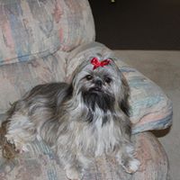 Cecilia Evans Photo 29