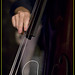 Gonzalo Tejada Photo 5