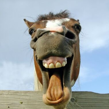 Edward Simons Photo 23