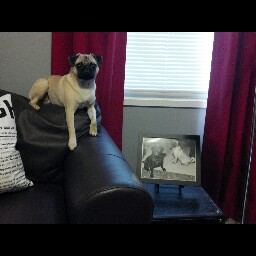 Stacey Guthrie Photo 1