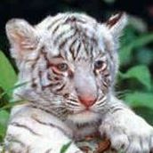 Paula Bowers Photo 10