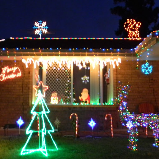 Anne Hartman Photo 18