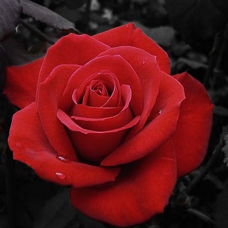 Laura Winter Photo 22