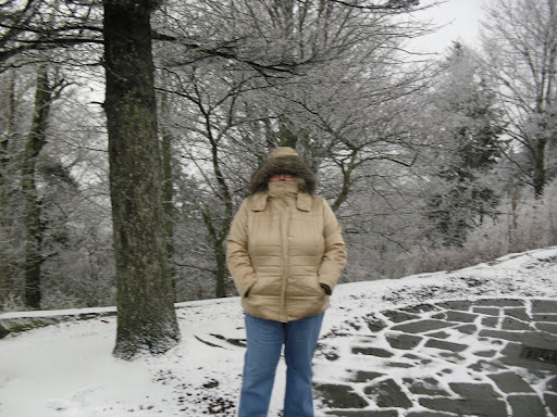 Kimberly Trimble Photo 18