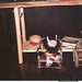 Carol Long Photo 23