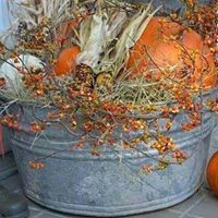 Rhonda Mccombs Photo 5