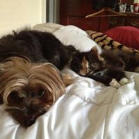 Jayson Hahn Photo 12