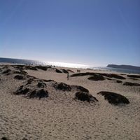 Tracy Carrington Photo 20